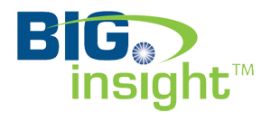biginsight logo